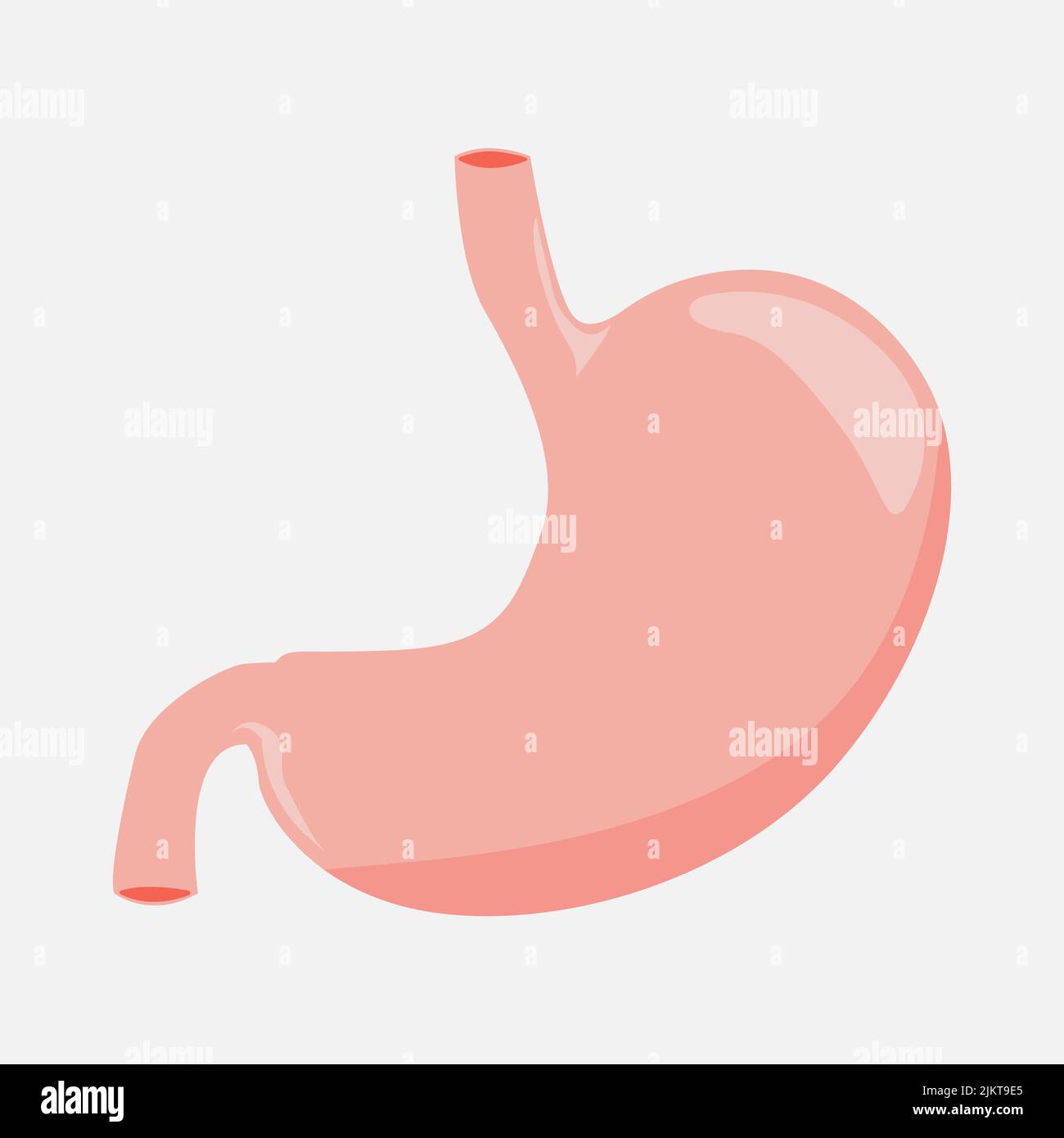 Icône estomac sur fond blanc. Illustration de Vecteur