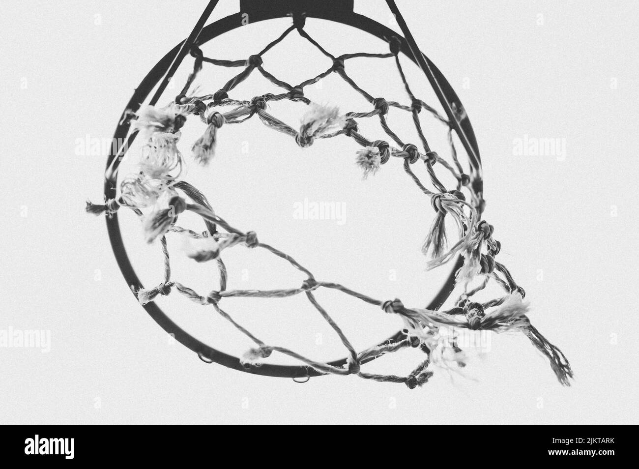 Une photo basse-angle en niveaux de gris d'un panier de basket-ball Banque D'Images