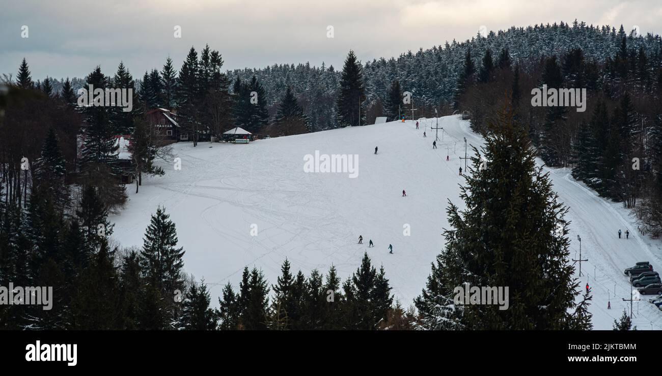 Une photo d'un paysage de montagne avec des sapins dans la neige Banque D'Images