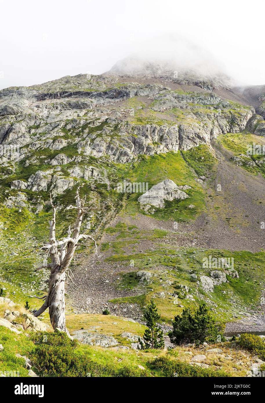 Plan vertical de la haute route pyrénéenne, sentier de randonnée de haut niveau et longue distance Banque D'Images