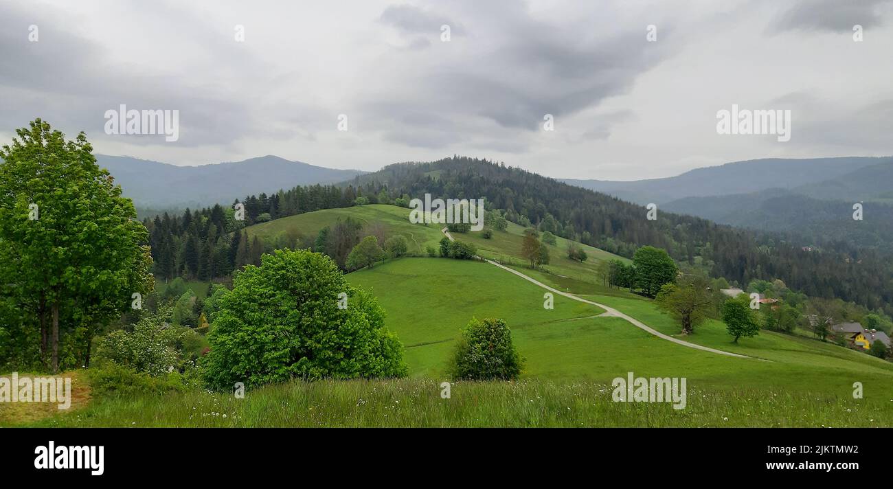 Une vue panoramique sur un champ vert d'arbustes et d'arbres contre les montagnes sous un ciel nuageux Banque D'Images