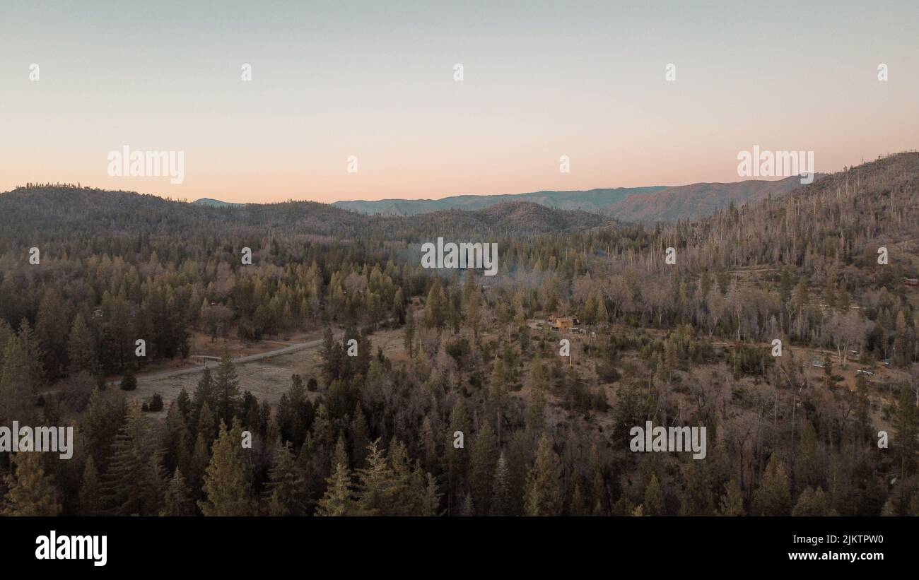 Une vue lointaine de la forêt avec des sapins au coucher du soleil Banque D'Images