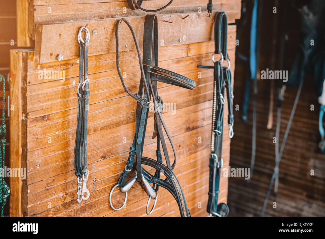 beaucoup de brides et de harnais en cuir sur le mur de l'écurie sur la ferme. Contexte de la présentation de l'équipement d'équitation Banque D'Images