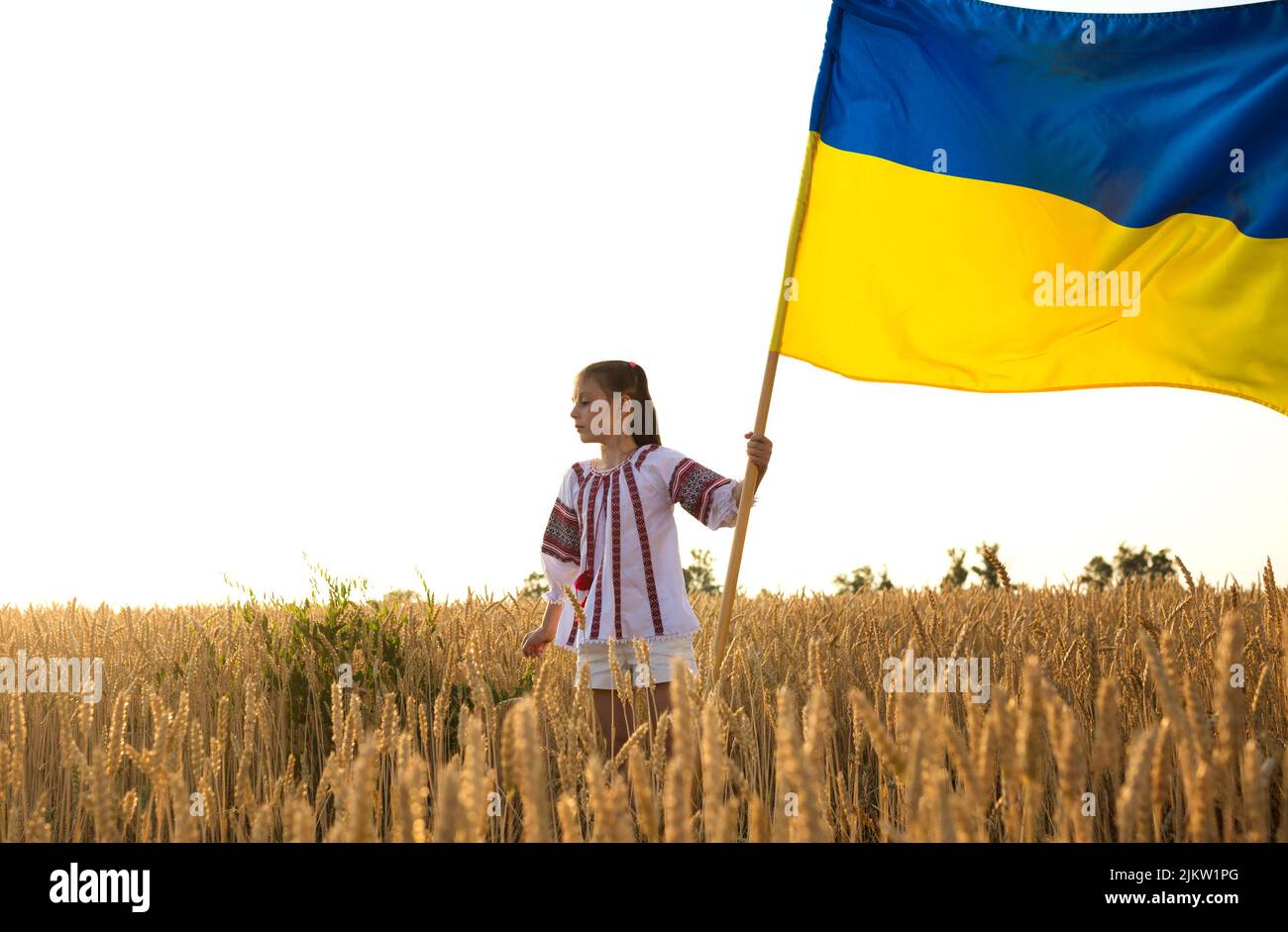 Fille de 7 ans dans un chemisier ukrainien national avec un grand drapeau jaune-bleu se dresse dans un champ de blé. Fierté, symbole du pays, identité nationale. Banque D'Images