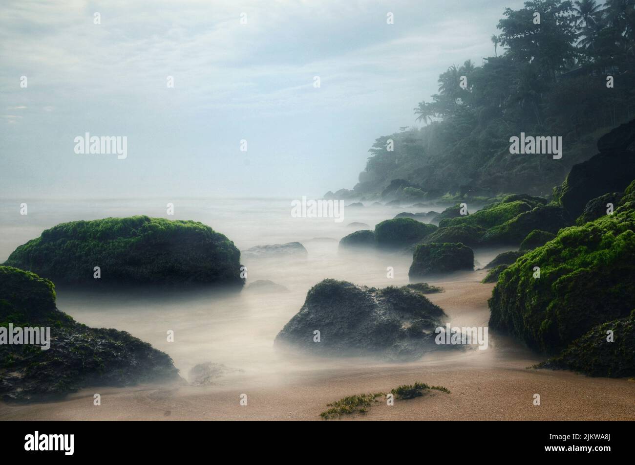 A beautiful shot of the seashore with rocks covered with moss Banque D'Images