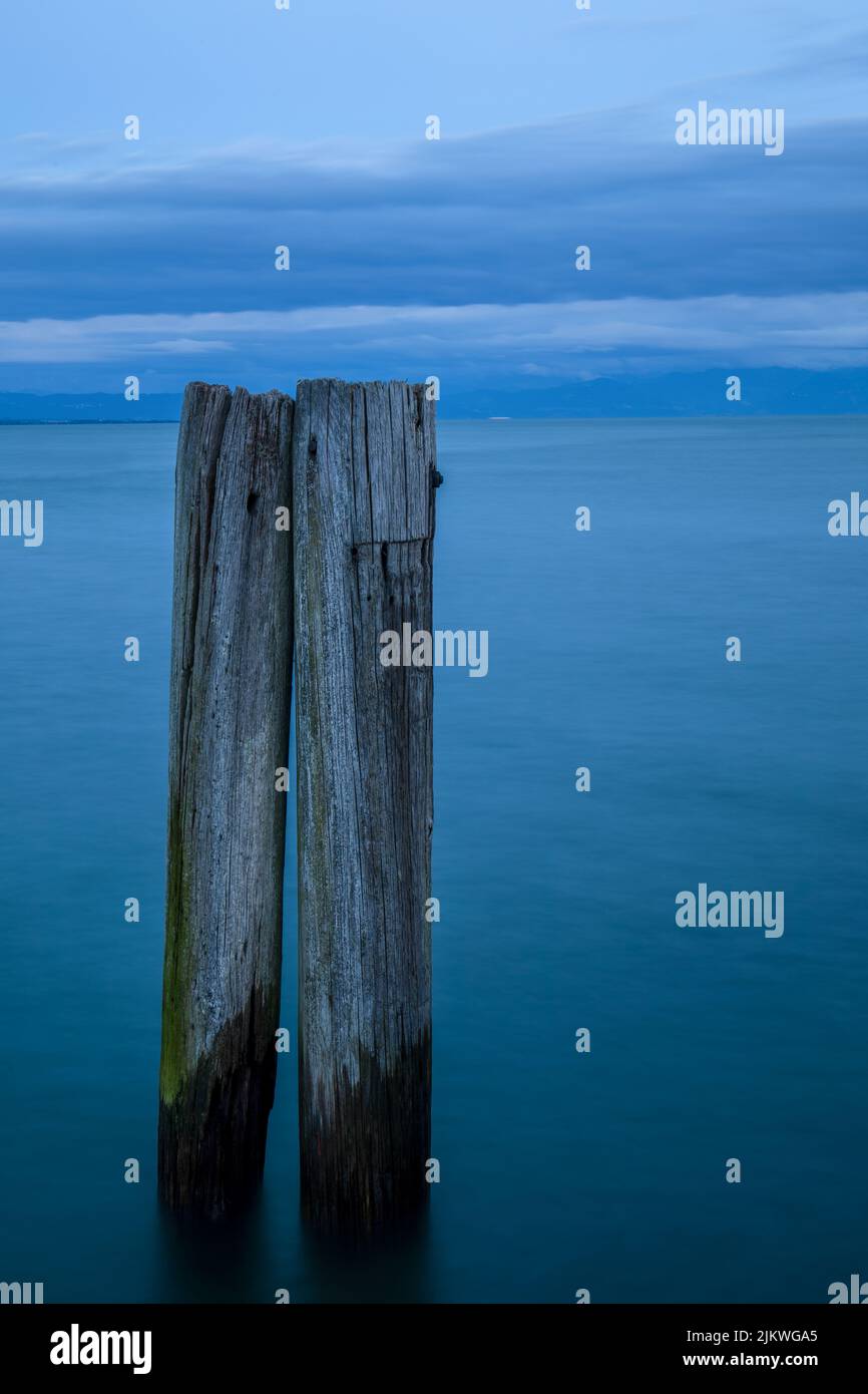 Une photo verticale de deux bâtons de bois bloqués dans le lac. Banque D'Images