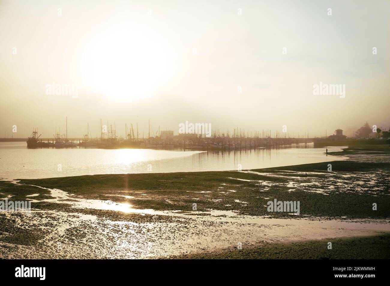 Un quai industriel au-dessus de la mer à marée basse pendant l'heure d'or Banque D'Images