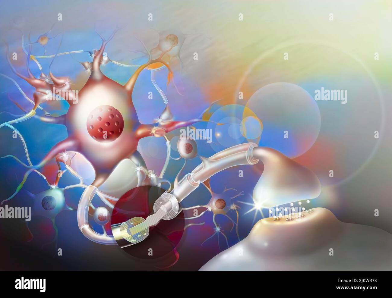 Impulsion nerveuse : réseau neuronal du système nerveux central avec zoom sur le nœud de Ranvier. Banque D'Images