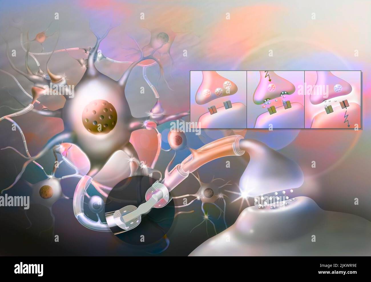 Impulsion nerveuse : réseau neuronal du système nerveux central avec zoom sur le nœud de Ranvier. Banque D'Images