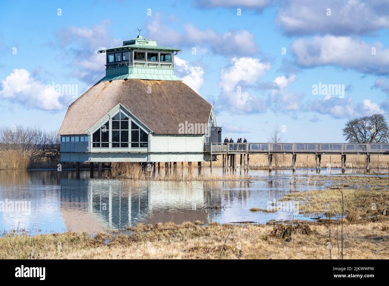 Visitez le Centre Naturum et la réserve naturelle d'observation des oiseaux du lac Hornborga. Banque D'Images