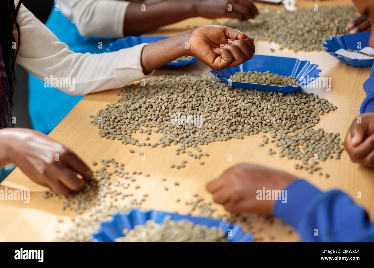 Une femme afro-américaine prépare des grains pour la dégustation de café Banque D'Images