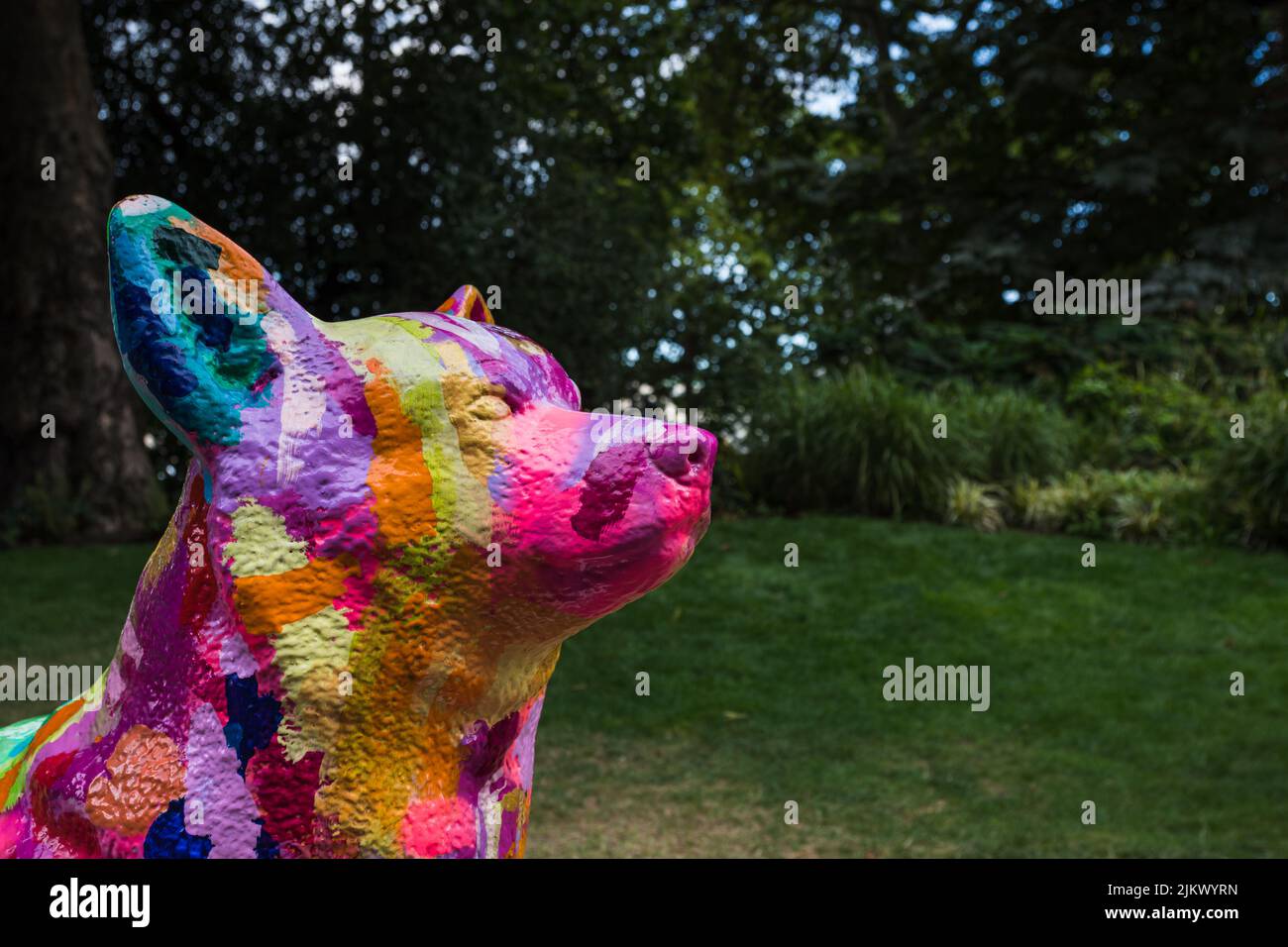 Gros plan d'un chien Corgi multicolore vu dans les jardins du remblai de Victoria en août 2022 dans le cadre du sentier Corgi du Jubilé de platine. Banque D'Images