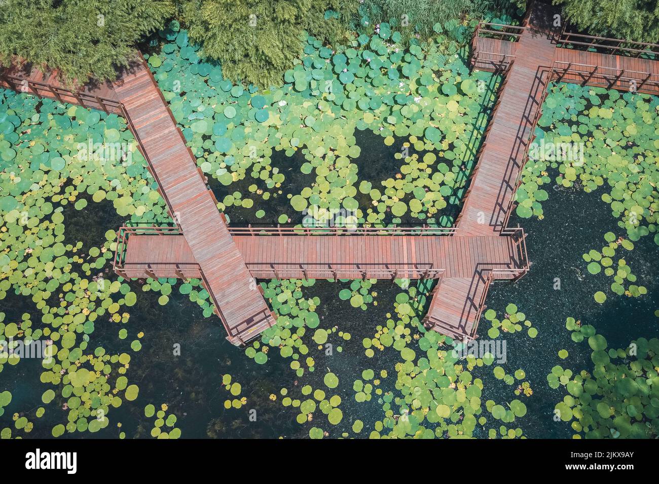 Vue aérienne d'un pont sur un étang de nénuphars Banque D'Images