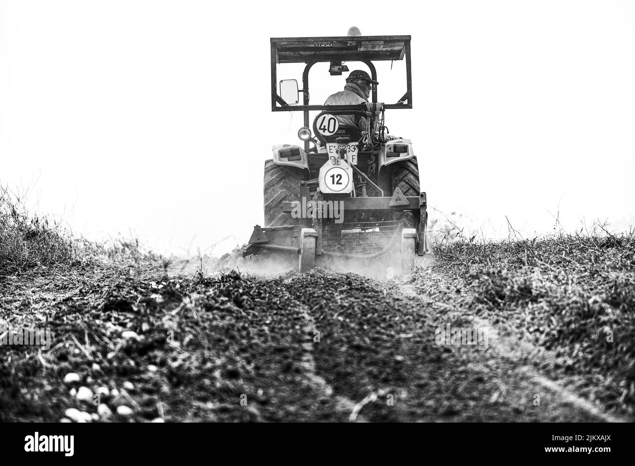 Récolte de la pomme de terre canarienne connue sous le nom de papa bonita à Icod El Alto Banque D'Images