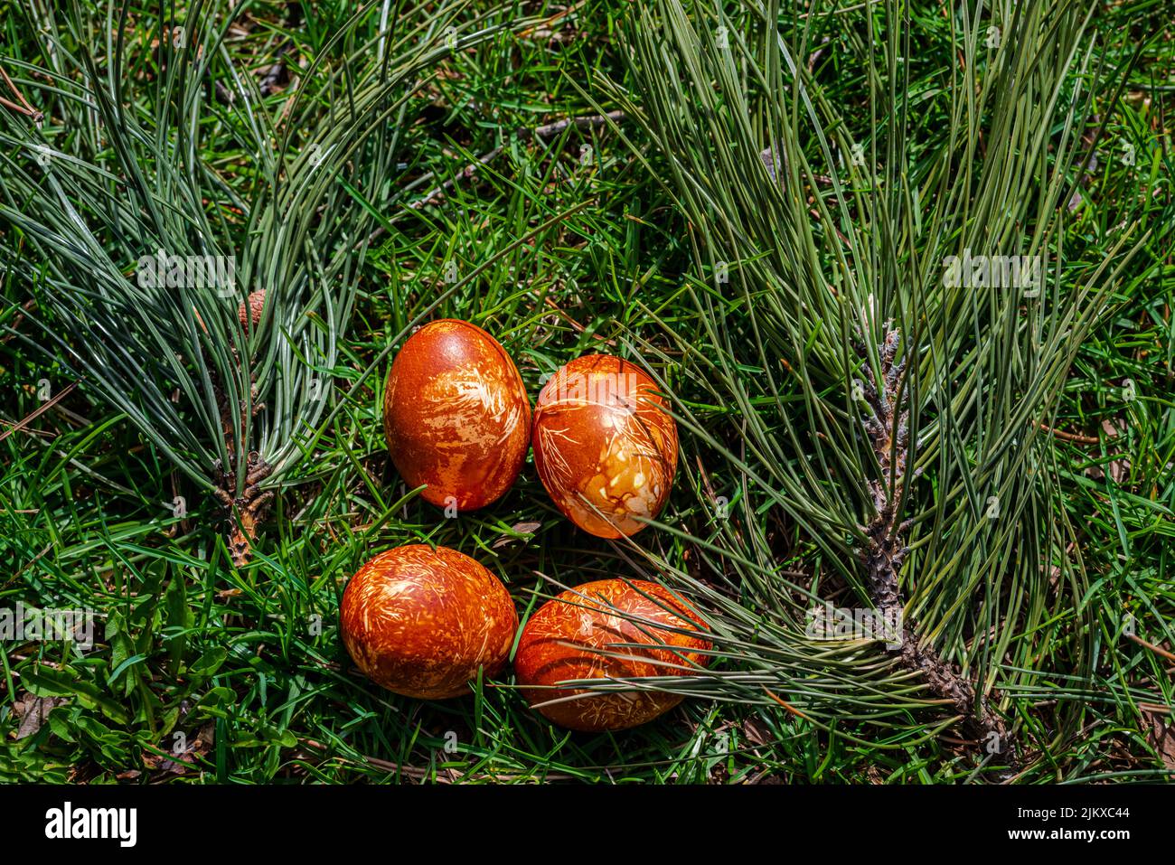 Œufs de Pâques naturellement teints avec des peaux d'oignon Banque D'Images