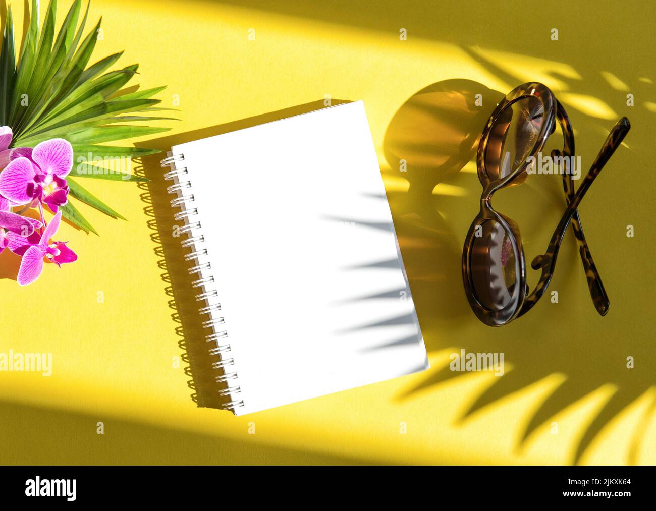 Modèle de pose à plat d'été avec ombre. Carnet, lunettes de soleil, feuilles de palmier, fleur d'orchidée sur fond jaune Banque D'Images