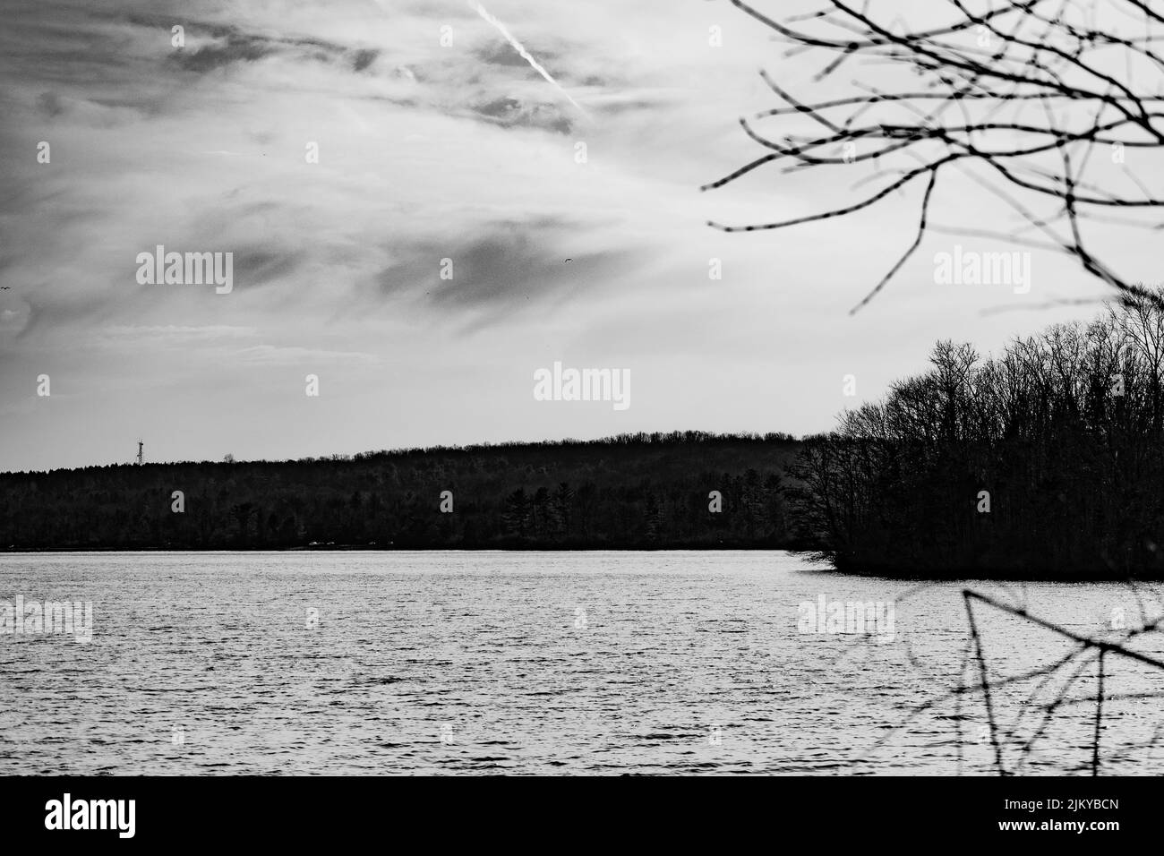 Une photo en niveaux de gris d'eau calme du lac entourée de hauts arbres sans feuilles par une journée nuageux Banque D'Images