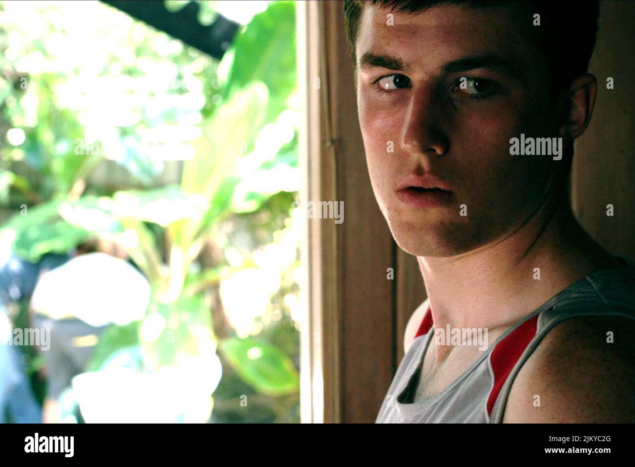 JAMES FRECHEVILLE, ROYAUME DES ANIMAUX, 2010 Banque D'Images