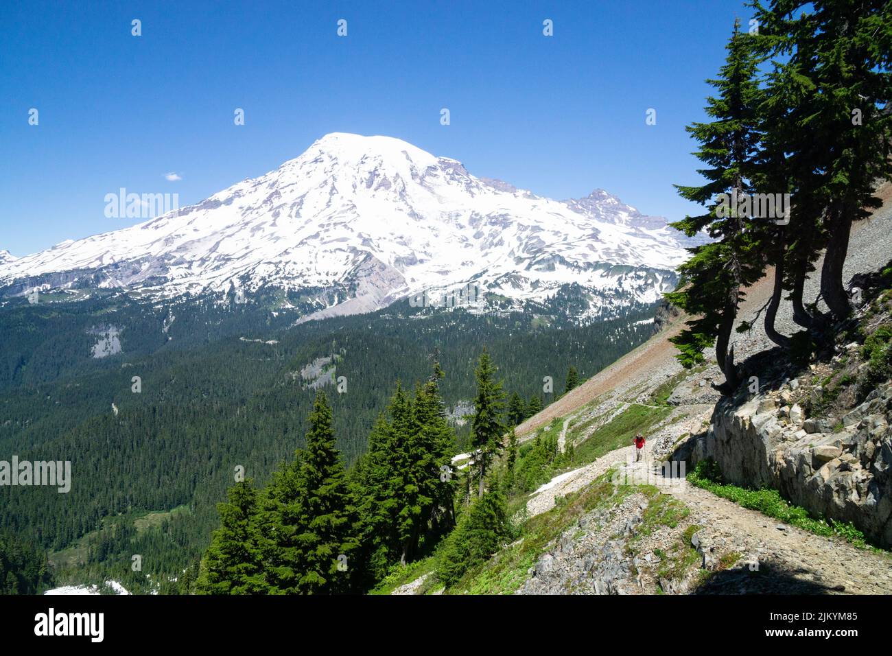 Mt. Rainier au loin sur la piste Pinnacle Saddle Trail, Mt. Parc national de Rainier, Washington, États-Unis Banque D'Images