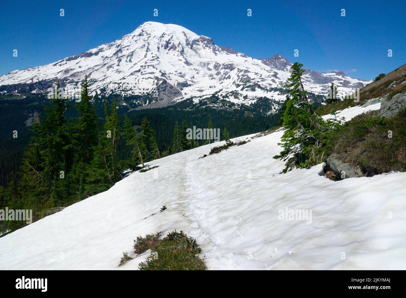 Mt. Rainier au loin au-dessus d'un champ de neige sur la piste Pinnacle Saddle Trail, Mt. Parc national de Rainier, Washington, États-Unis Banque D'Images