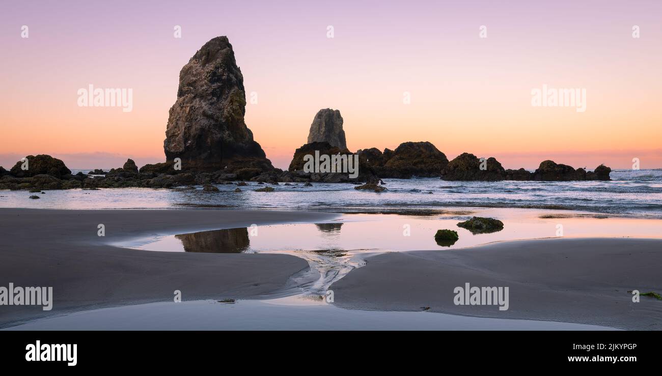 La mer des aiguilles s'empile le long de la plage à Cannon Beach, Oregon, à marée basse à l'aube Banque D'Images