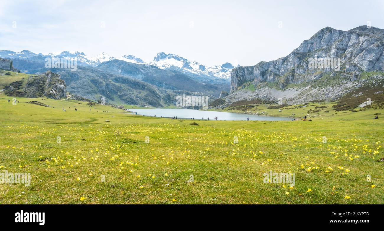 Lac Ercina au printemps avec des fleurs jaunes dans la Lagos de Covadonga. Asturies. Espagne Banque D'Images