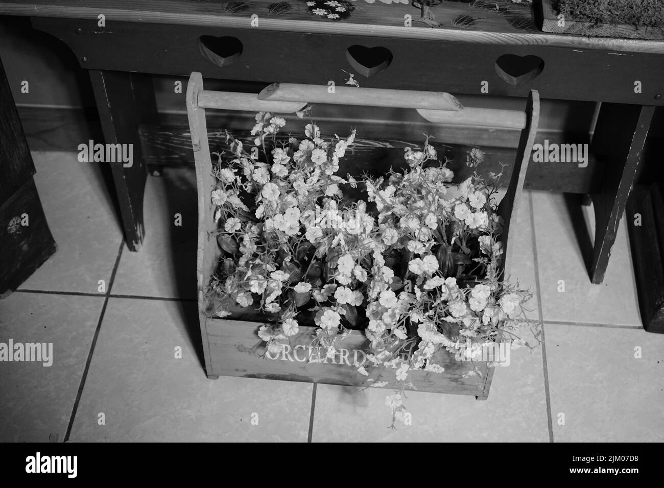 Photo noir et blanc de fleurs dans un panier à l'intérieur Banque D'Images