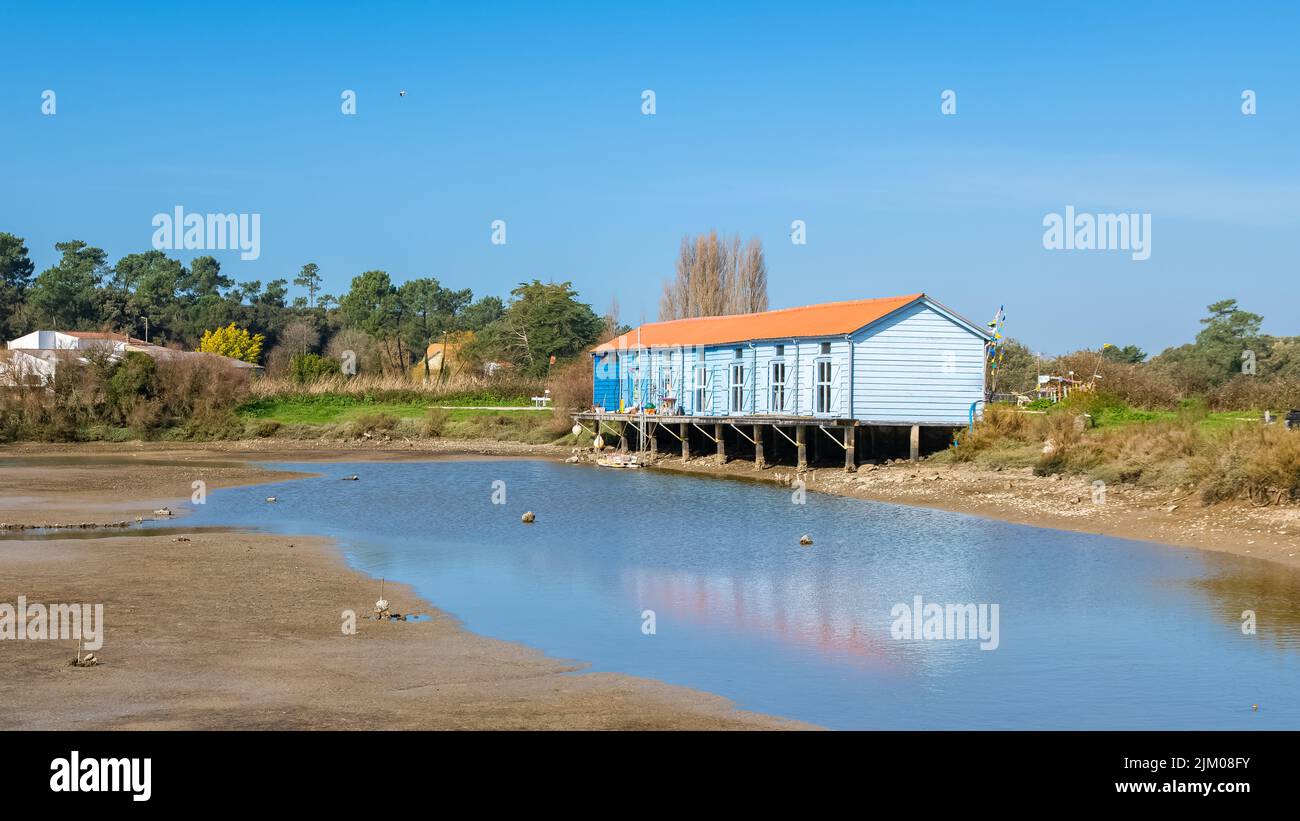Maisons en bois colorées, huttes d'huîtres sur l'île d'Oléron en France Banque D'Images