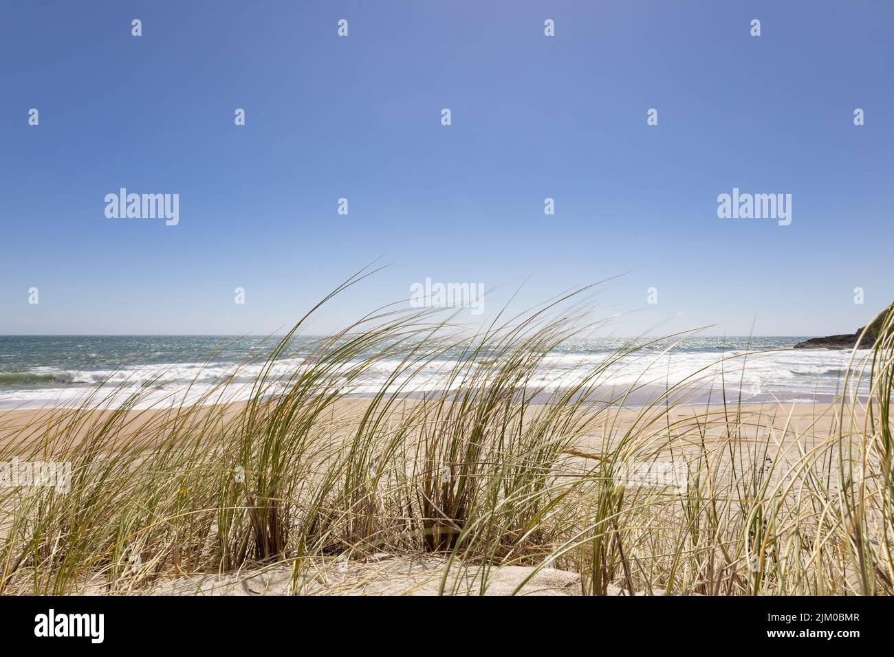 Une belle scène de l'herbe de Marram européenne sur une plage de sable au bord de l'eau avec le ciel bleu à l'horizon Banque D'Images