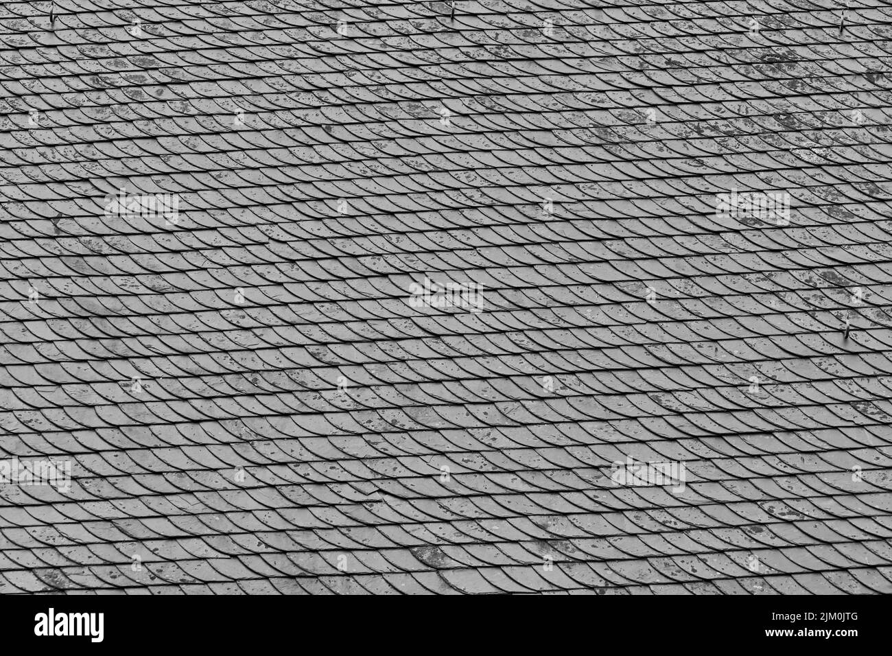 Une belle photo d'un grand carrelage gris en ardoise de toit avec motif Banque D'Images