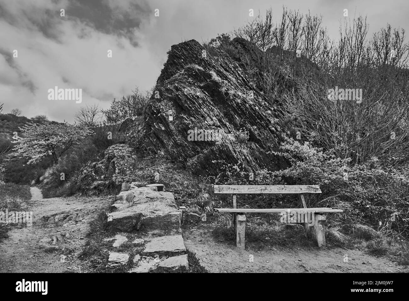 Une photo en échelle de gris d'un banc de bois près des ruines du château de Loweenburg à Monreal, Allemagne avec un ciel nuageux Banque D'Images Une photo en échelle de gris d'un banc de bois près des ruines du château de Loweenburg à Monreal, Allemagne avec un ciel nuageux Banque D'Images