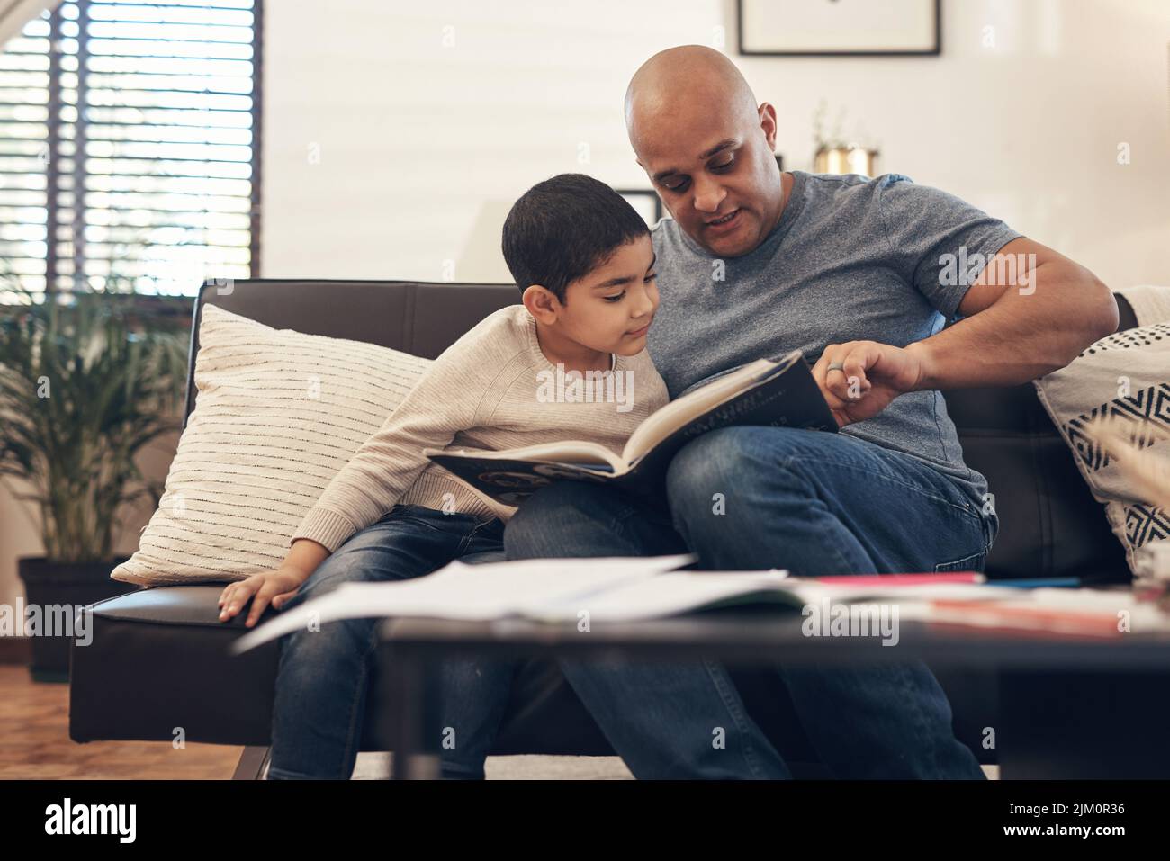 Les livres sont les briques avec lesquelles nous construisons demain. Un adorable petit garçon lisant un livre avec son père sur le canapé à la maison. Banque D'Images