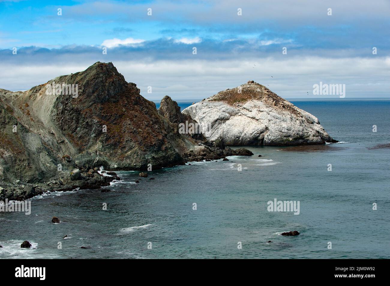 Sanctuaire marin pour la faune Banque D'Images