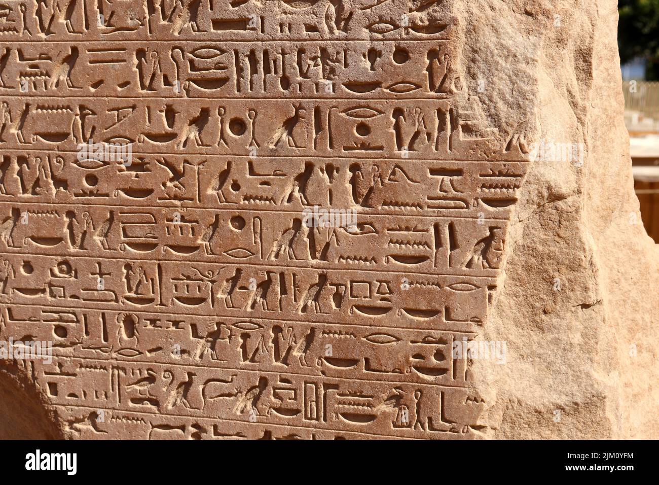 Magnifique hiéroglyphes sur les murs du temple de Satet sur l'île Éléphantine d'Assouan Banque D'Images