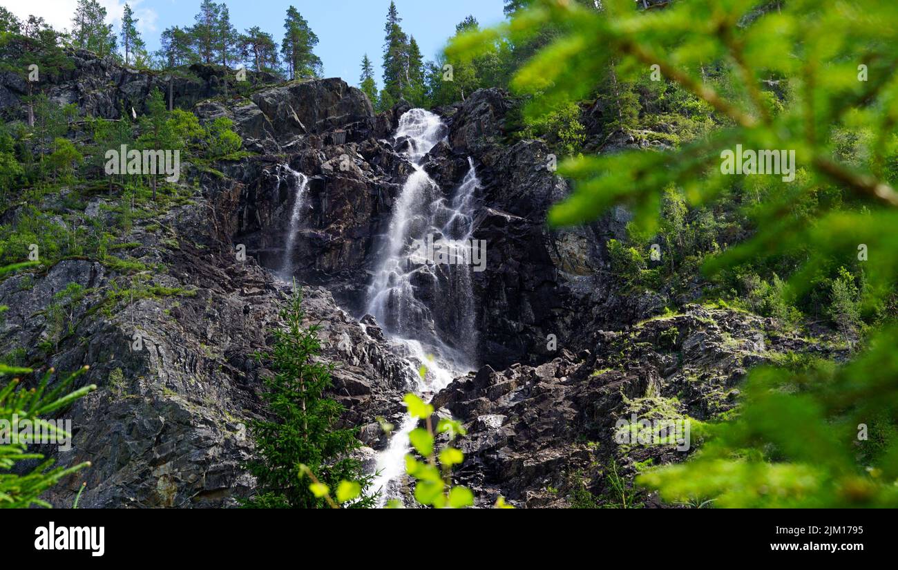 Scène de paysage de l'eau cachée profondément dans la forêt remplir de vert grands arbres nature Banque D'Images