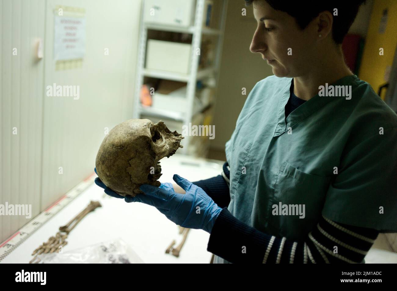 Tuzla, Bosnie : un scientifique médico-légal inspecte le crâne d'une victime de Srebrenica, où 8000 garçons et hommes ont été assassinés par les forces serbes. Banque D'Images