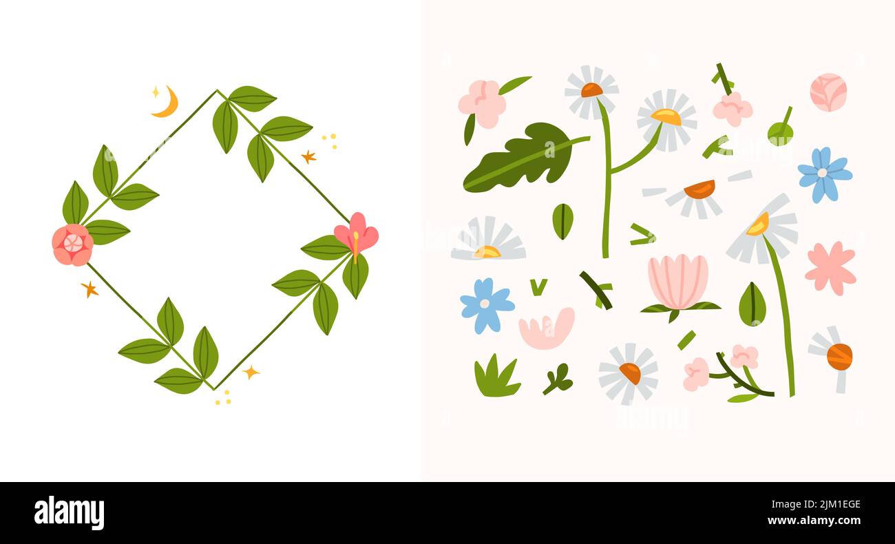 Ensemble graphique abstrait vectoriel dessiné à la main avec illustration clipart de cadre d'ornement avec fleurs, camomille et feuilles dans un style simple pour la marque Illustration de Vecteur