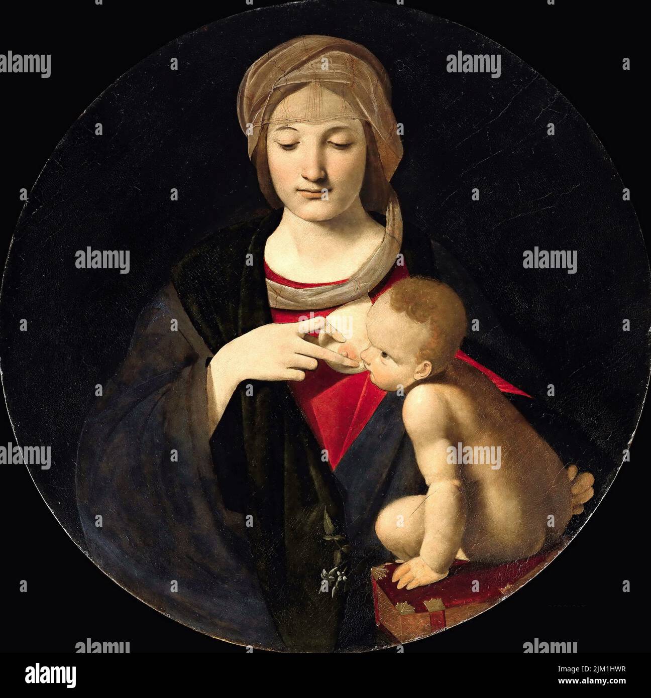 Madonna del latte. Musée: Accademia Carrara, Bergame. AUTEUR: GIOVANNI ANTONIO BOLTRAFFIO. Banque D'Images