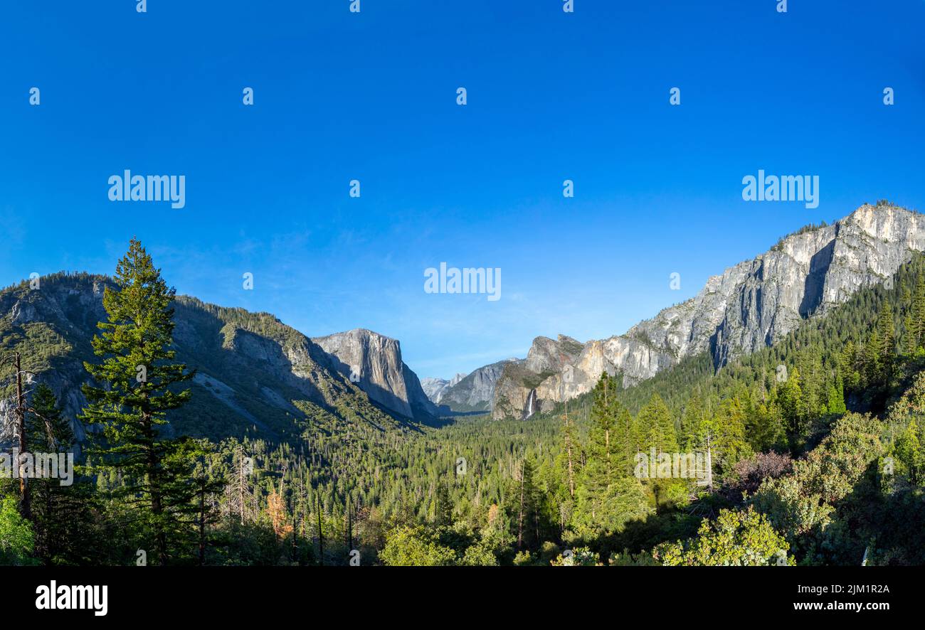 Vue sur la vallée de yosemite avec le rocher el Capitan et la chute d'eau Bridal Veil, États-Unis Banque D'Images
