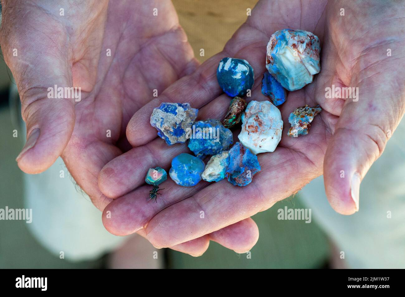 Grahame McMahon, un religieux anglican à la retraite, maintenant un mineur opale, présente une poignée d'opales de sa mine à Lightning Ridge Banque D'Images