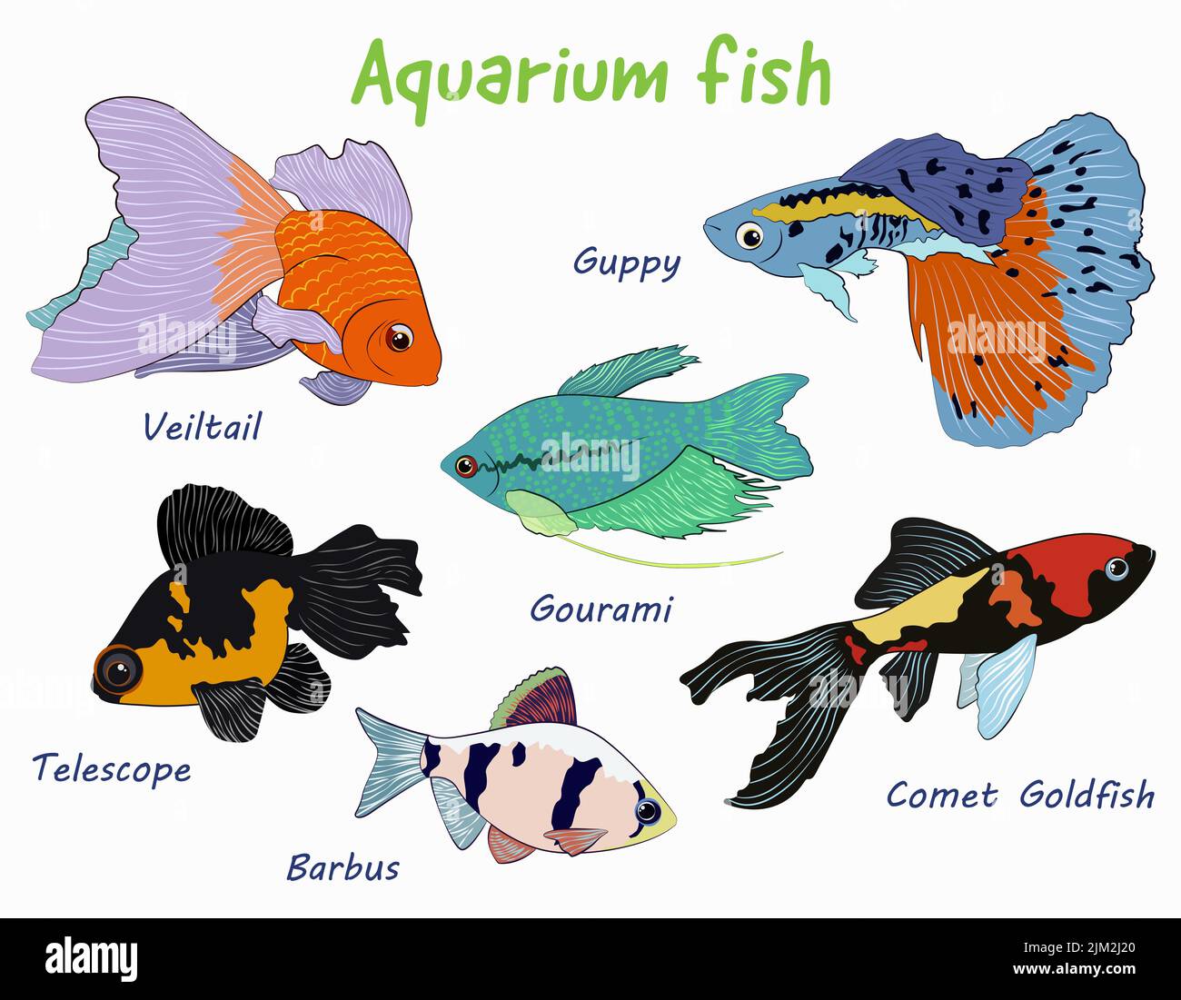 Jolie collection de dessins animés de poissons d'aquarium lumineux. Illustration de Vecteur