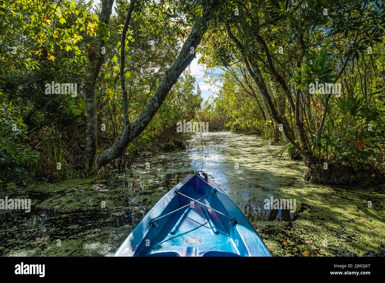 Vue en kayak depuis le lancement de North Guana Outpost sur la rivière Guana à Ponte Vedra Beach, Floride. (ÉTATS-UNIS) Banque D'Images