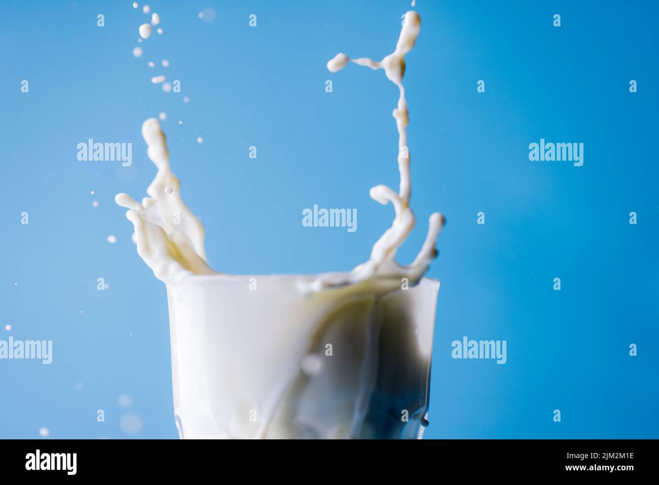 Gros plan du lait renversé du verre sur fond bleu, espace de copie Banque D'Images Gros plan du lait renversé du verre sur fond bleu, espace de copie Banque D'Images