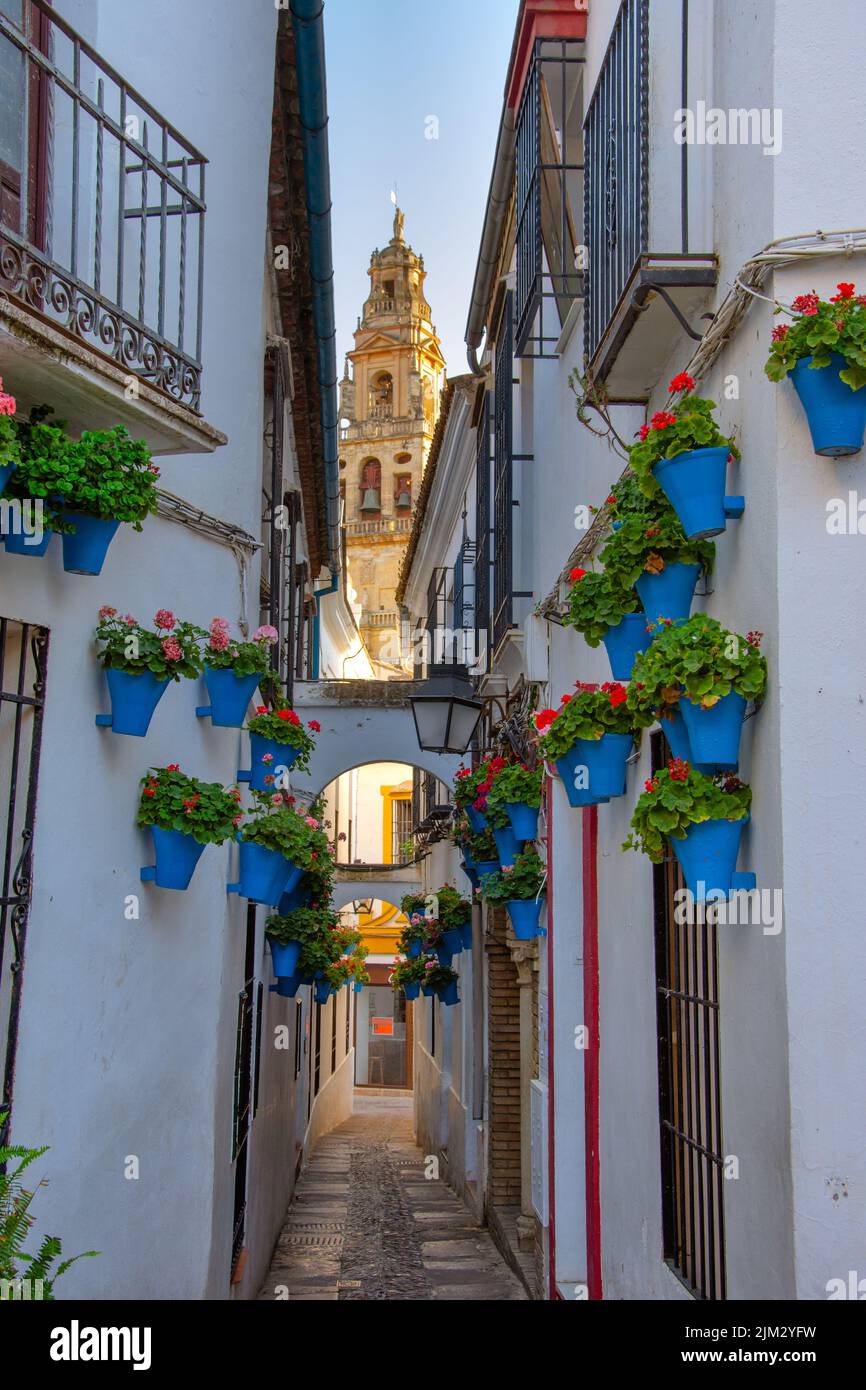 Vue sur la rue de la vieille ville andalouse de Cordoue avec la rivière Guadalquivir et la Grande Mosquée (cathédrale Mezquita), Espagne. Banque D'Images