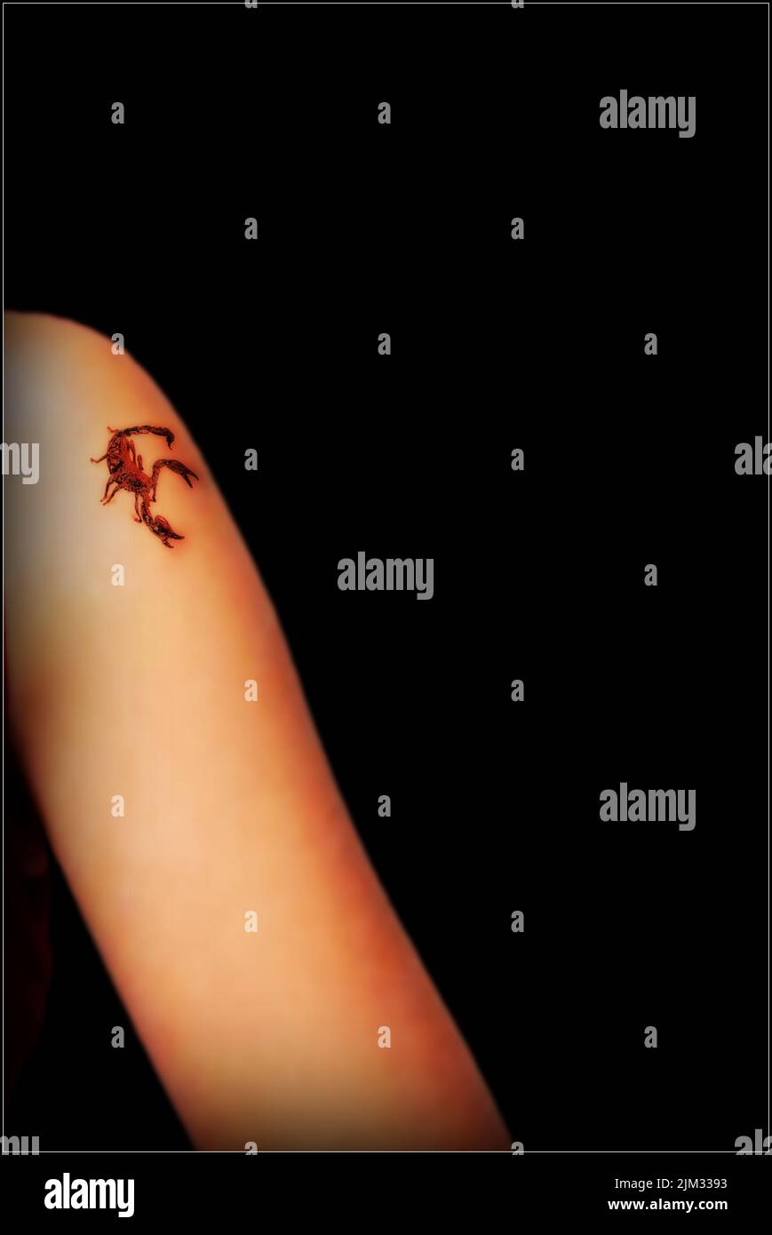 Tatouage Scorpion sur le bras d'une femme Banque D'Images