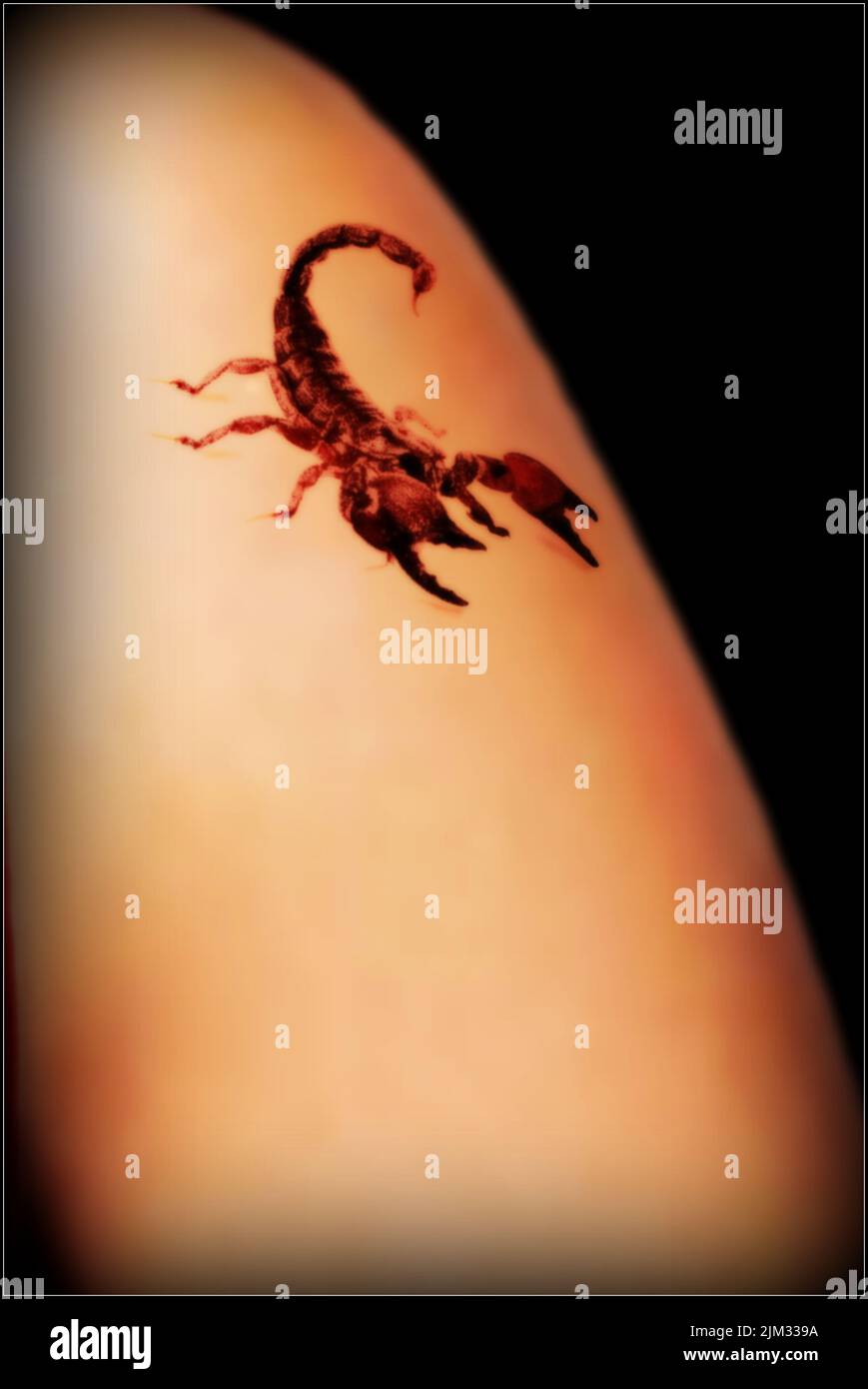 Tatouage Scorpion sur le bras d'une femme Banque D'Images