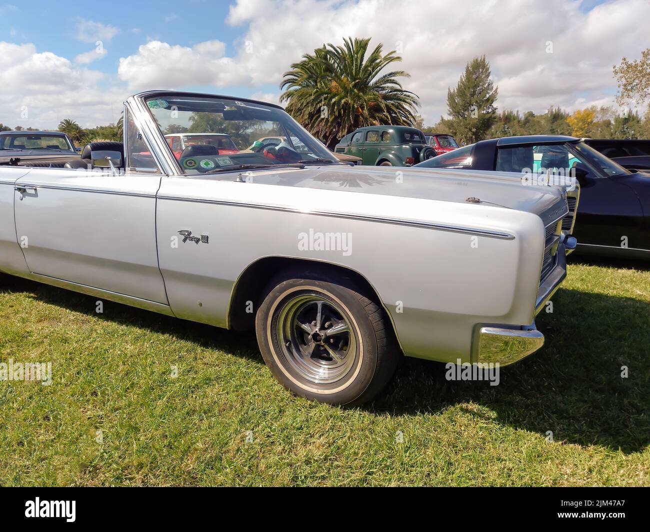 Vieux sport Plymouth Fury III 1965 - 1968 Cabriolet deux portes. Jour ensoleillé. Vert nature herbe et arbres de fond. Salon de la voiture classique. Banque D'Images