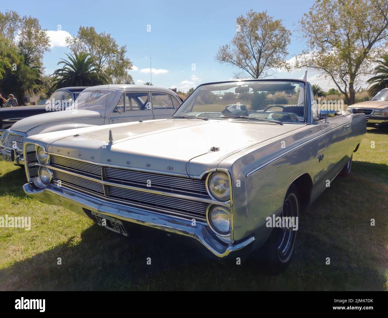 Vieux sport Plymouth Fury III 1965 - 1968 Cabriolet deux portes. Jour ensoleillé. Vert nature herbe et arbres de fond. Salon de la voiture classique. Banque D'Images