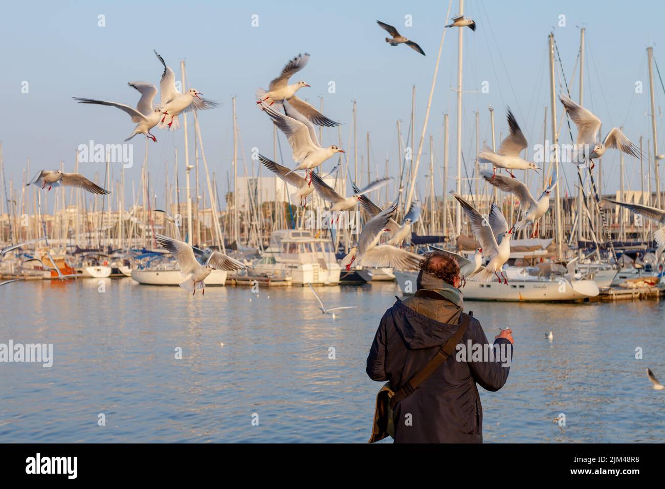 Barcelone, Espagne- 19 janvier 2022: Homme nourrissant des mouettes dans le port de Barcelone (Espagne), approche sélective de l'homme. Banque D'Images