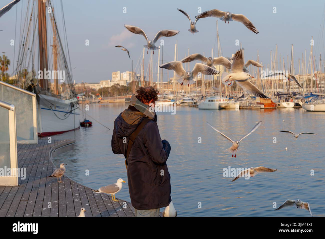 Barcelone, Espagne- 19 janvier 2022: Homme nourrissant des mouettes dans le port de Barcelone (Espagne), approche sélective de l'homme. Banque D'Images